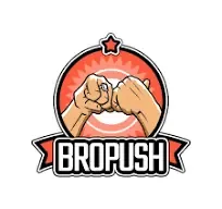 bropush logo.webp